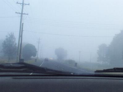 fog050705.jpg