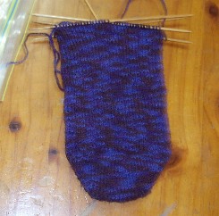 sock170704.JPG